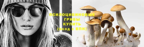COCAINE Арсеньев