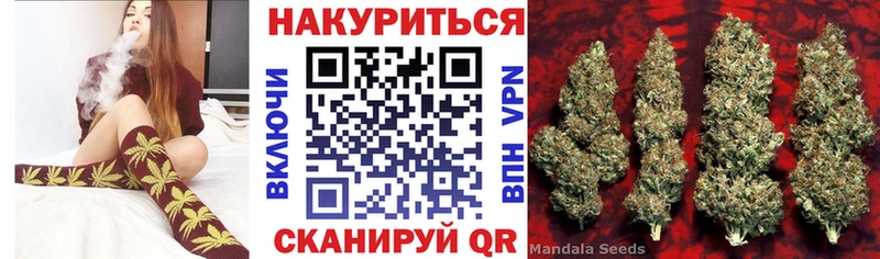 OMG вход Суворов Конопля план